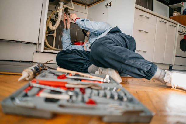 Best Sprinkler Systems  in Lasalle, IL