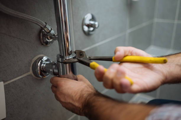 Best Leak Detection Services  in Lasalle, IL